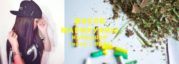 дмт Ельня