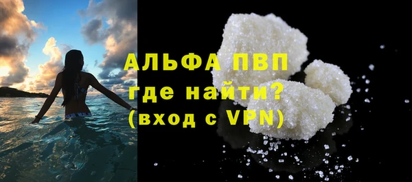 дмт Ельня