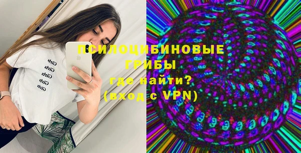 дмт Ельня