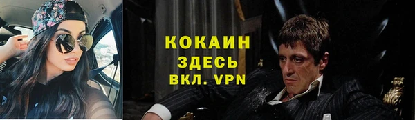 дмт Ельня