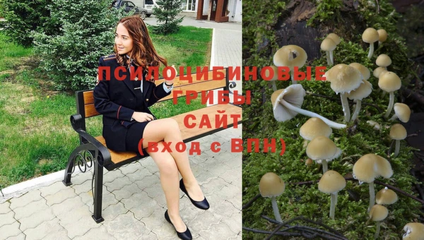 герыч Елабуга