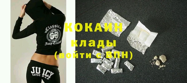 дмт Ельня